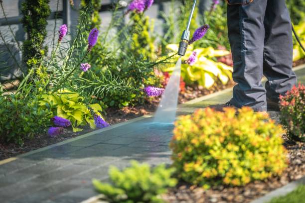 Best Fence Cleaning  in Guttenberg, NJ