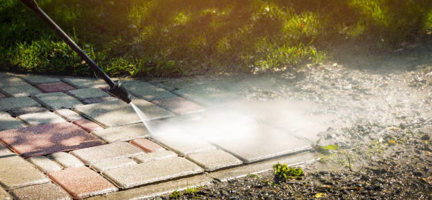 Best Solar Panel Cleaning  in Guttenberg, NJ