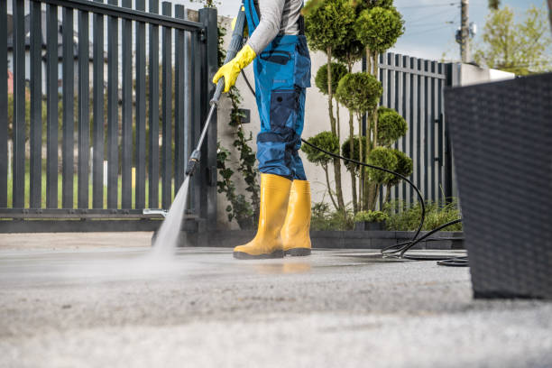 Best Driveway Pressure Washing  in Guttenberg, NJ